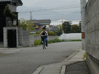 NbNő傫Ȏʐ^